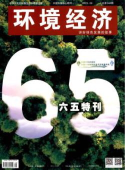 环境经济
